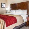 Отель Comfort Inn and Suites, фото 6