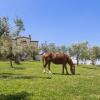 Отель Agriturismo Le Bosche, фото 19