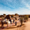 Отель Sahara wellness camp, фото 1