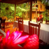 Отель La Gamba Rainforest Lodge, фото 12