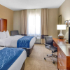 Отель Comfort Inn & Suites Lynchburg Airport - University Area, фото 31
