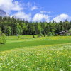 Отель Gasthof Dürrlehen, фото 17