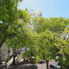 Отель Mosteiro - Lissabon Altstadt, фото 15