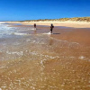 Отель South-West getaway! Pool, tennis & Foxtel, фото 16