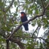 Отель Chacra del Agua -Home Lodge and Kayak, фото 20