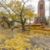 Отель P And O Apartments Plac Narutowicza 3, фото 5