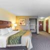 Отель Comfort Inn And Suites, фото 6