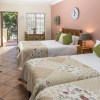 Отель Algoa Guesthouse (Summerstrand), фото 6