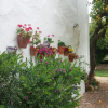 Отель Finca La Favorita - Adults Only, фото 7