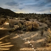 Отель High View Haven - Hot Tub, Fire Pit, Bbq In Joshua Tree! 3 Bedroom Home by RedAwning, фото 18