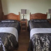 Отель Golden Dawn Guesthouse, фото 14