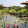 Отель Hibiscus Garden Hotel, фото 25