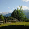Отель Infopoint - Apartments, Chalet & Motel Brünig-silvana, фото 9