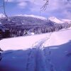 Отель Almgasthof Judenburger Hütte, фото 9