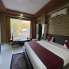 Отель CZAR Palace Resort Udaipur, фото 3
