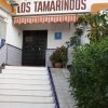 Отель Hostal Tamarindos, фото 1