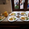 Meal