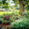 Отель Alarks Nest Bed and Breakfast, фото 31