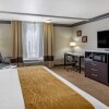 Отель Comfort Inn & Suites Near Universal - N. Hollywood - Burbank, фото 22