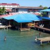 Отель Bocas Surf School & Guest House, фото 12