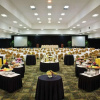 Отель Saddlebrook Golf Resort & Spa Tampa North - Wesley Chapel, фото 29