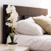 Отель Mevaser - Christian Guest House - Hostel, фото 22
