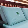 Отель D House Hotel, фото 4
