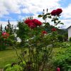 Отель Solitary Apartment in Bdefeld With Garden and Terrace, фото 5