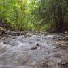 Отель Daintree Peaks ECO Stays, фото 23