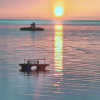 Отель Hostel Oslob Anglers Hub Resort, фото 25