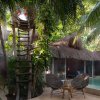 Отель Jungle Villa With Private Pool, фото 11