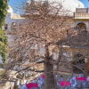 Отель Bassi Fort Palace, фото 23