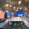 Отель Meet In The Yard With Aliza Ron - Guest Suites, фото 14