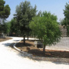 Отель Masseria SantElia, фото 8