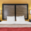 Отель Comfort Inn, фото 16