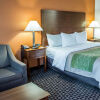 Отель Comfort Inn, фото 8