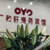 Отель OYO plaza business hotel, фото 11