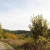 Отель Landgasthof Gruß, фото 12