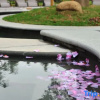 Отель Narada Hot Spring Resort Huzhou, фото 22