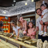 Отель Great Wolf Lodge Arizona, фото 10