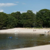 Отель Sea Pines RV Resort & Campground, фото 10