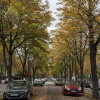 Отель Veeve - Enchanting Murals by Trocadero Gardens, фото 1