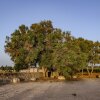 Отель Finca Gomera, Luxury Country House, фото 27