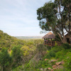 Отель Woodbury Lodge - Amakhala Game Reserve, фото 10