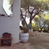 Отель Casa Agave, фото 2