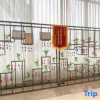 Отель Midor Hotel (Honggutan Wanda Plaza), фото 7