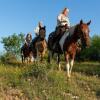 Отель Wildcatter Ranch & Resort, фото 32