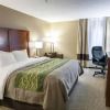 Отель Comfort Inn, фото 32