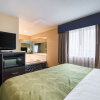 Отель Comfort Suites Delavan - Lake Geneva Area, фото 4