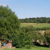 Отель Upper Ansdore Bed and Breakfast, фото 8